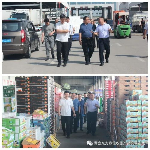 百闻不如一见 ,青岛市交通局对东方鼎信农副产品交易中心进行实地调研