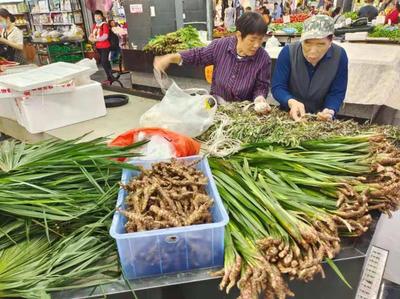 端午节临近 市场供应充足价格平稳